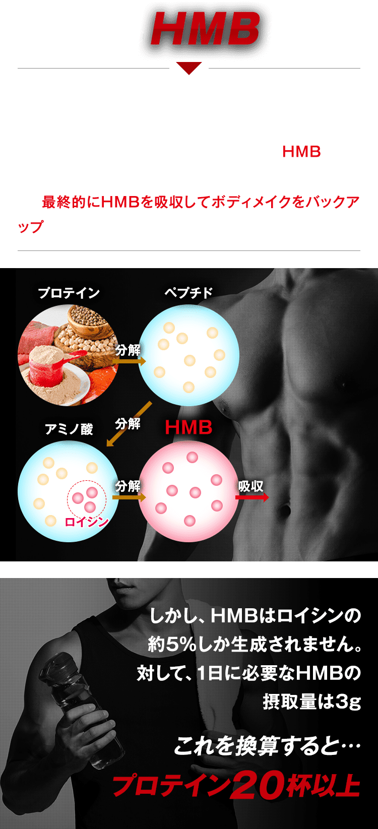 鍛神 KITASHIN そもそもHMBとは？