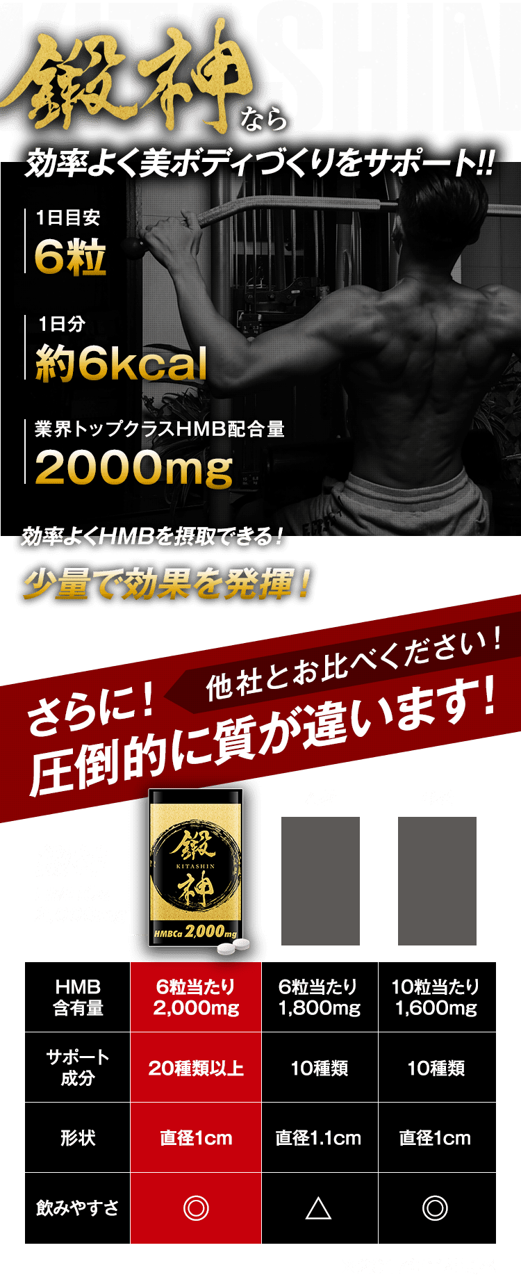 鍛神 KITASHIN なら効率よく美筋づくりをサポート!!